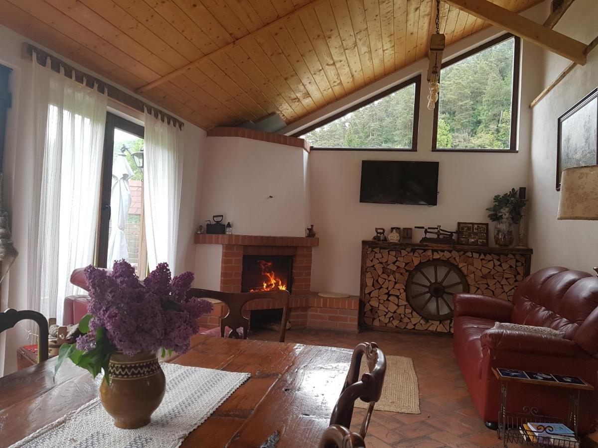 Sura Lu' Vasile. Bed & Breakfast Crivina  ภายนอก รูปภาพ