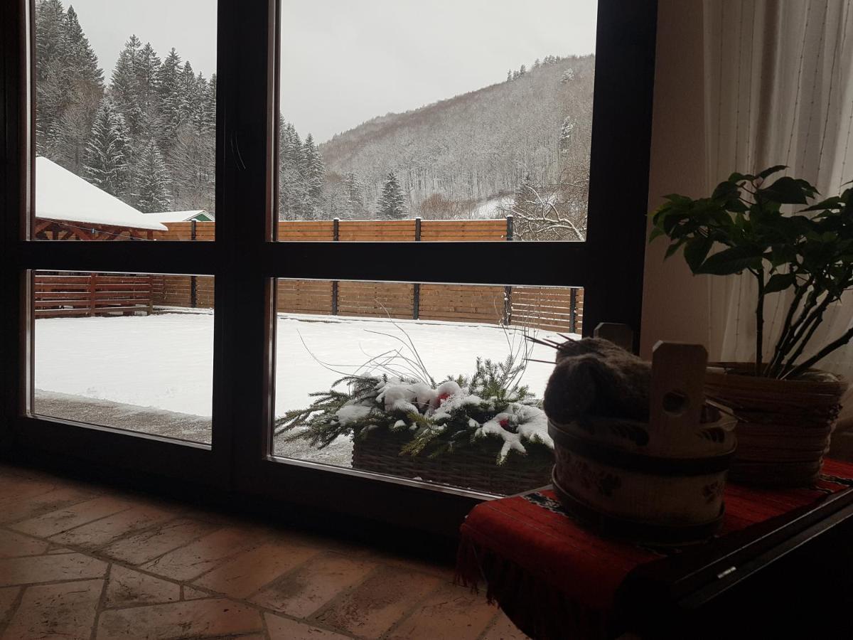 Sura Lu' Vasile. Bed & Breakfast Crivina  ภายนอก รูปภาพ
